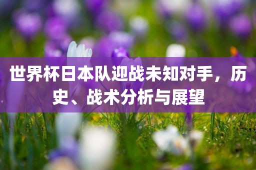 世界杯日本队迎战未知对手，历史、战术分析与展望