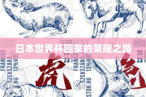 日本世界杯回家的荣耀之路