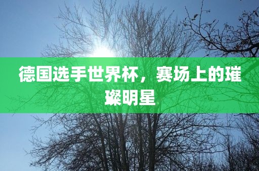 德国选手世界杯，赛场上的璀璨明星