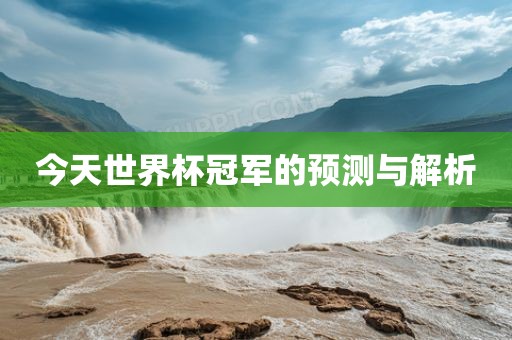 今天世界杯冠军的预测与解析