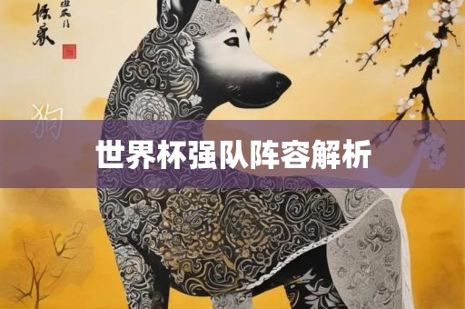 世界杯强队阵容解析