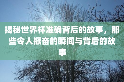 揭秘世界洛阳市法福文化传播有限公司杯准确背后的故事，那些令人振奋的瞬间与背后的故事