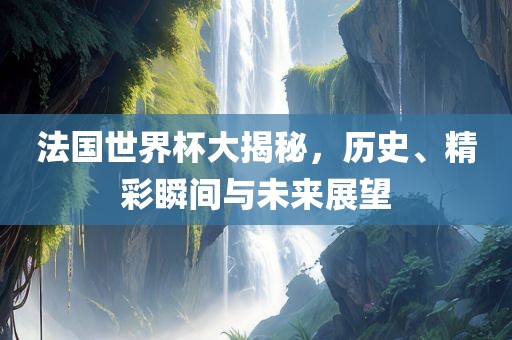 法国世界杯大揭秘，历史、精彩瞬间与未来展望洛阳市法福文化传播有限公司