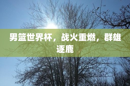 男篮世界杯，战火重燃，群雄逐鹿